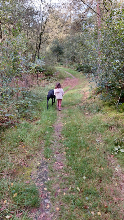 De Natuur als Medicijn: Hoe Wandelen in de Buitenlucht Je Gezondheid en Geluk Boost